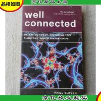 Well Connected: Releasing Power, Restoring Hope Through King