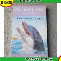 Dolphin in the Deep