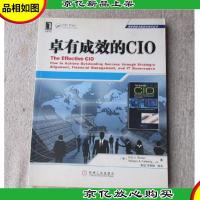 商务智能与信息化技术丛书:卓有成效的CIO