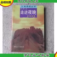 走进夜晚(长篇小说·布老虎丛书)