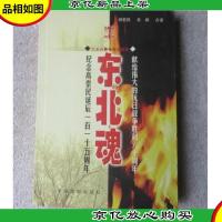 东北魂:纪念高崇民诞辰一百一十五周年(二十八集电视连续剧)