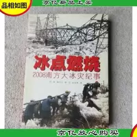 冰点燃烧:2008南方大冰灾纪事