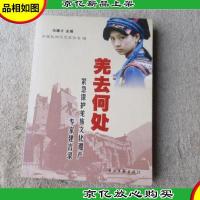 羌去何处---紧急保护羌族文化遗产专家建言录