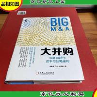 大并购:互联网时代资本与战略重构