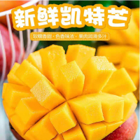四川攀枝花凯特芒果10斤装 大果 单果400克以上(带箱10斤 净重9斤)新鲜应季水果坏果包赔