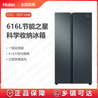 海尔(Haier)对开门冰箱BCD-616WGHSSEDC9