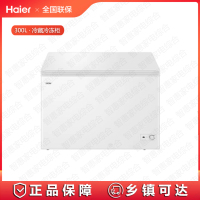 海尔(Haier)300升低霜卧式商用家用冰柜BC/BD-300GHD商用大容量冷藏柜大冷冻柜冰柜家用冰箱大冷柜