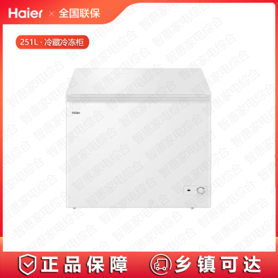 海尔(Haier)冷柜商用251升冰柜BC/BD-251HD小型冷藏冷冻两用大容量冷柜卧式小冰箱 白色