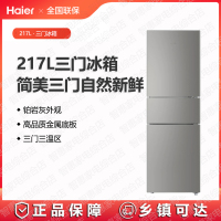 海尔冰箱BCD-217WGHC3E9H9