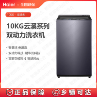 海尔(Haier)洗衣机全自动波轮双动力10公斤云溪系列XQS100-MBDE656直驱免清洗一级节能变频精华洗省水