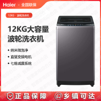 海尔(Haier)洗衣机XQB120-BZ20D1新款直驱变频12公斤大容量波轮洗衣机