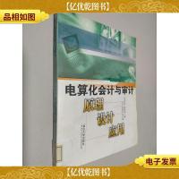 电算化*与审计:原理设计应用