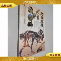 化石真相:206块骨头之外的生命传奇