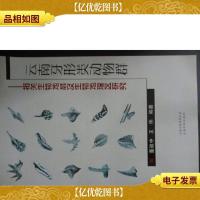 云南牙形类动物群:相关生物地层及生物地理区研究