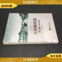 大国城镇化-新实践 新探索