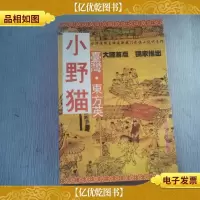 小野猫
