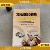 常见鸡病与鸽病临床诊治指南