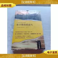 那不勒斯的萤火(被誉为欧美文坛近十年来的“灯塔”巨作,跟《追