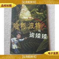 哈利·波特与瓷娃娃