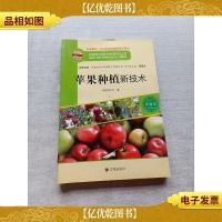 苹果种植新技术:种植类