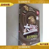 大冒险——寻宝蝙蝠洞