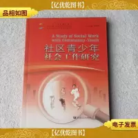 社区青少年社会工作研究