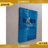 逆风顺流:双安发展启示录