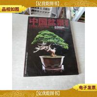 中国盆景赏石(2012.6)