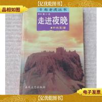 走进夜晚 (长篇小说·布老虎丛书)
