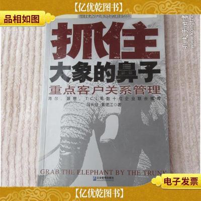 抓住大象的鼻子:重点客户关系管理