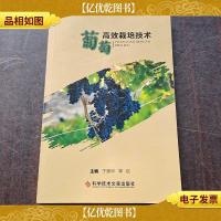 葡萄高效栽培技术