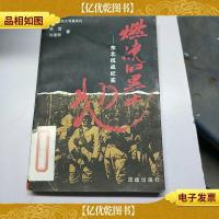 燃烧的黑土地:东北抗战纪实