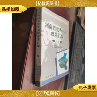 河南省*调研成果汇编.2010