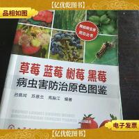 草莓蓝莓树莓黑莓病虫害防治原色图鉴