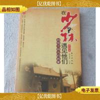 在少林遇见他们:49位少林人的故事