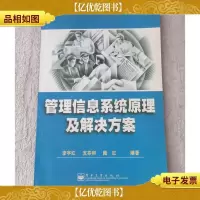 管理信息系统原理及解决方案