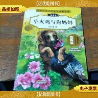 动物小说大王沈石溪精品集:小火鸡与狗妈妈(拼音版)。
