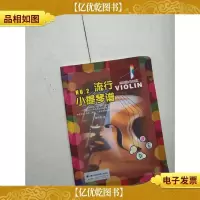 流行小提琴谱NO.2