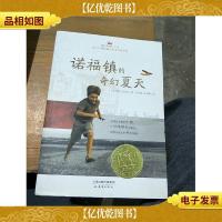 诺福镇的奇幻夏天