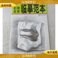 临摹范本 石膏五官