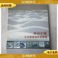 林间步履(北京雁栖湖景观雕塑)