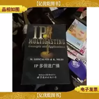 IP多信道广播