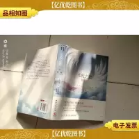 光轮之恋:初探