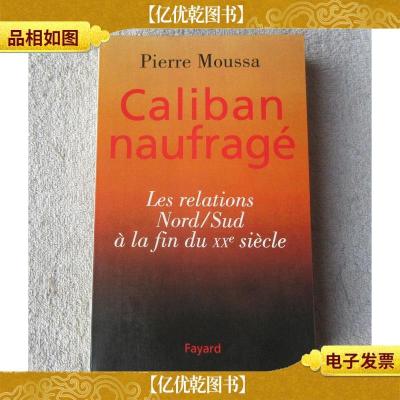 Caliban naufrage : les relations Nord-Sud a la fin du XXe