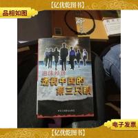 泡沫经济:透视中国的第三只眼