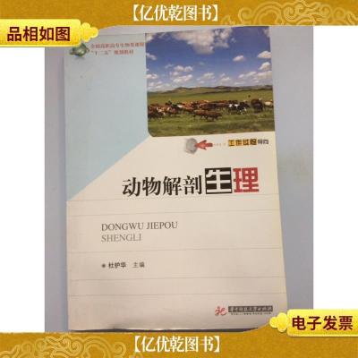 动物解剖生理
