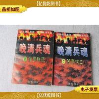 晚清兵魂2本合售