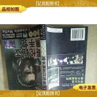 哥伦比亚黑手党家族传