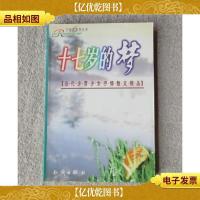 七彩虹系列丛书:十七岁的梦
