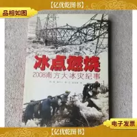 冰点燃烧:2008南方大冰灾纪事
